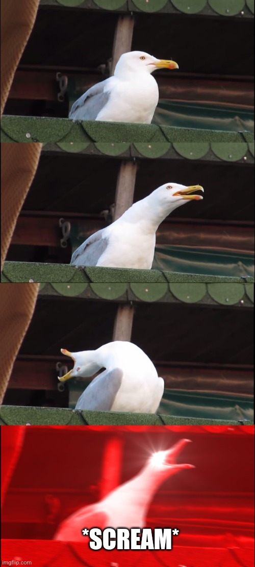 Inhaling Seagull Meme | *SCREAM* | image tagged in memes,inhaling seagull | made w/ Imgflip meme maker