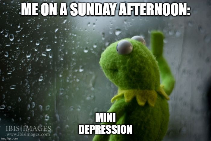 kermit window | ME ON A SUNDAY AFTERNOON:; MINI DEPRESSION | image tagged in kermit window | made w/ Imgflip meme maker