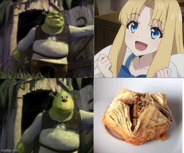 Comparison between two different Filo | image tagged in shocked shrek face swap,rising of the shield hero,memes,filo,animeme,isekai | made w/ Imgflip meme maker