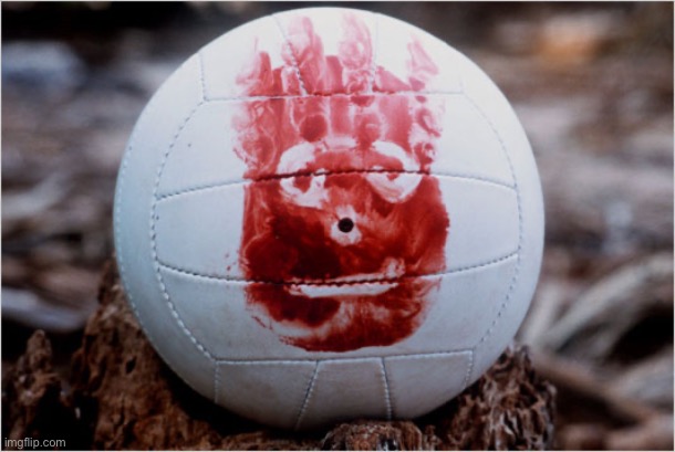 Wilson volleyball Castaway | image tagged in wilson volleyball castaway | made w/ Imgflip meme maker