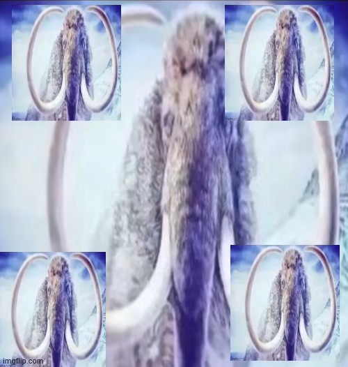 mammoth cult | made w/ Imgflip meme maker