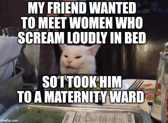 Smudge that darn cat | MY FRIEND WANTED TO MEET WOMEN WHO SCREAM LOUDLY IN BED; SO I TOOK HIM TO A MATERNITY WARD | image tagged in smudge that darn cat | made w/ Imgflip meme maker