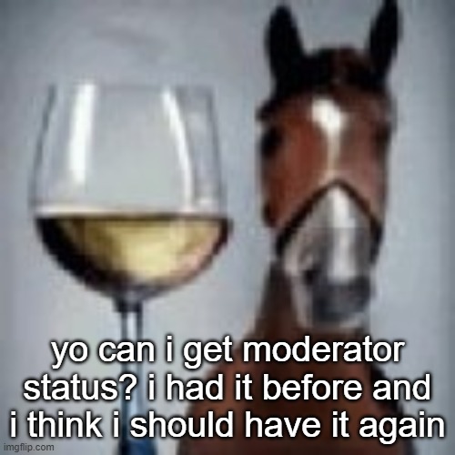 wine horse | yo can i get moderator status? i had it before and i think i should have it again | image tagged in wine horse | made w/ Imgflip meme maker