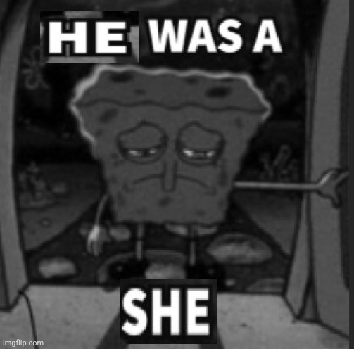 She was a he | image tagged in she was a he | made w/ Imgflip meme maker