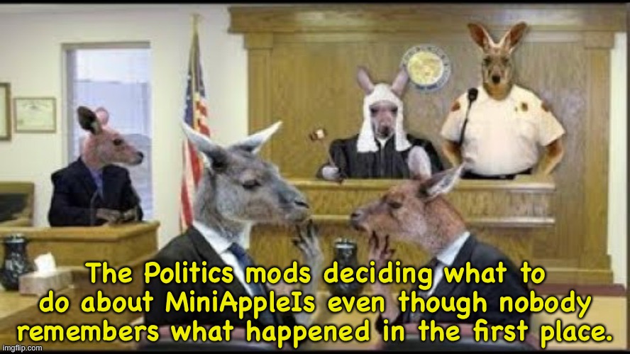 They're probably just afraid of him. | The Politics mods deciding what to do about MiniAppleIs even though nobody remembers what happened in the first place. | image tagged in kangaroo court | made w/ Imgflip meme maker