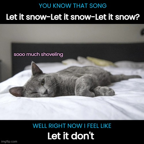 Snow is much heavier than it looks. | YOU KNOW THAT SONG; Let it snow-Let it snow-Let it snow? sooo much shoveling; WELL RIGHT NOW I FEEL LIKE; Let it don't | image tagged in funny cat memes,snow,shoveling | made w/ Imgflip meme maker