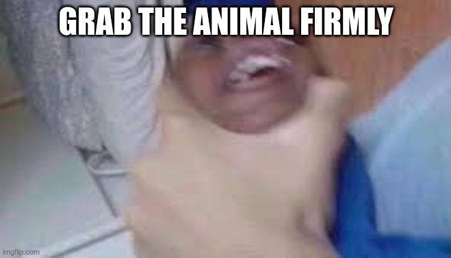 kid getting choked | GRAB THE ANIMAL FIRMLY | image tagged in kid getting choked | made w/ Imgflip meme maker