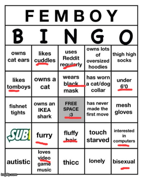 Femboy Bingo | image tagged in femboy bingo | made w/ Imgflip meme maker