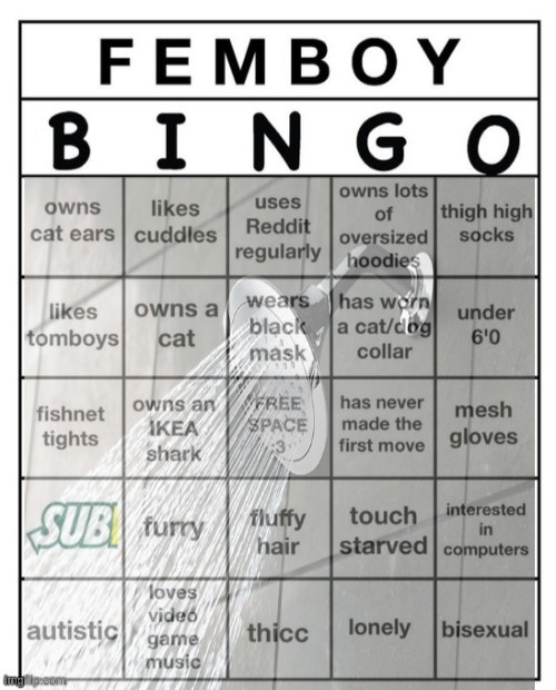 Femboy Bingo | image tagged in femboy bingo | made w/ Imgflip meme maker