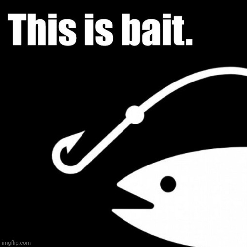 This is bait | image tagged in this is bait | made w/ Imgflip meme maker