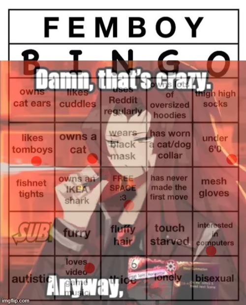 Femboy Bingo | image tagged in femboy bingo | made w/ Imgflip meme maker