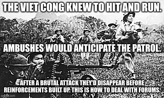 Viet Cong | THE VIET CONG KNEW TO HIT AND RUN. AMBUSHES WOULD ANTICIPATE THE PATROL. AFTER A BRUTAL ATTACK THEY'D DISAPPEAR BEFORE REINFORCEMENTS BUILT UP. THIS IS HOW TO DEAL WITH FORUMS. | image tagged in forums | made w/ Imgflip meme maker