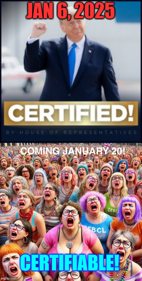 The majority of people with mental issues in the US are liberals... | JAN 6, 2025; CERTIFIABLE! | image tagged in triggered,libs,certifiable | made w/ Imgflip meme maker