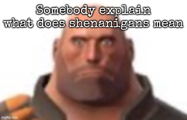 Why do i feel it’s something related to anime and shit | Somebody explain what does shenanigans mean | image tagged in close-up staring heavy,msmg | made w/ Imgflip meme maker