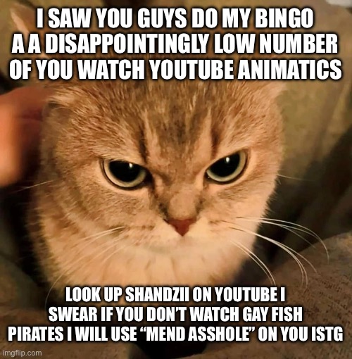 Angry Cat | I SAW YOU GUYS DO MY BINGO A A DISAPPOINTINGLY LOW NUMBER OF YOU WATCH YOUTUBE ANIMATICS; LOOK UP SHANDZII ON YOUTUBE I SWEAR IF YOU DON’T WATCH GAY FISH PIRATES I WILL USE “MEND ASSHOLE” ON YOU ISTG | image tagged in angry cat | made w/ Imgflip meme maker