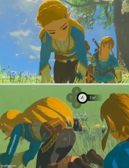 plus 3843739 hearts and 389999 stamina wheels plus mipha never heals you ever again | image tagged in the legend of zelda,zelda,the legend of zelda breath of the wild,dark humor,butt,eat | made w/ Imgflip meme maker