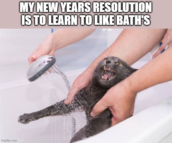 memes by Brad - My cats new years resolution is to like taking bath's more | MY NEW YEARS RESOLUTION IS TO LEARN TO LIKE BATH'S | image tagged in cats,kitten,funny,bath,bathtub,humor | made w/ Imgflip meme maker