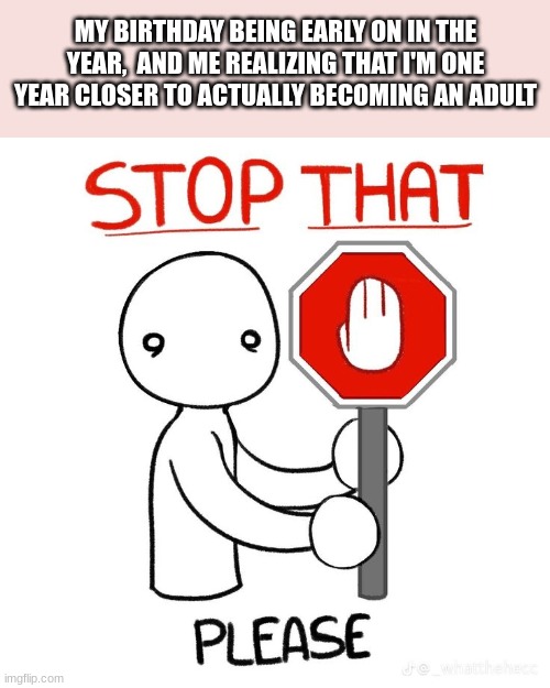 Bro I do not want to be 18 anytime soon, i don't not need the existential dread of  when jury duty will be happening for me | MY BIRTHDAY BEING EARLY ON IN THE YEAR,  AND ME REALIZING THAT I'M ONE YEAR CLOSER TO ACTUALLY BECOMING AN ADULT | image tagged in stop that please | made w/ Imgflip meme maker