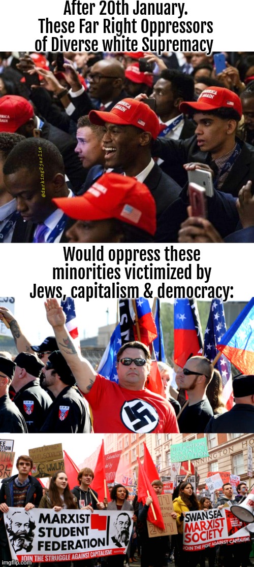 Under Trump Fascism, minorities will be oppressed | After 20th January. These Far Right Oppressors of Diverse white Supremacy; @darking2jarlie; Would oppress these minorities victimized by Jews, capitalism & democracy: | image tagged in maga,trump,donald trump,socialism,marxism,america | made w/ Imgflip meme maker