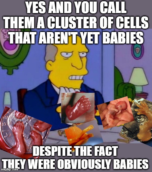 That awkward moment when facts are contrary to the arguments pro-choicers believed at face value with no further investigation | YES AND YOU CALL THEM A CLUSTER OF CELLS THAT AREN'T YET BABIES; DESPITE THE FACT THEY WERE OBVIOUSLY BABIES | image tagged in steamed hams | made w/ Imgflip meme maker