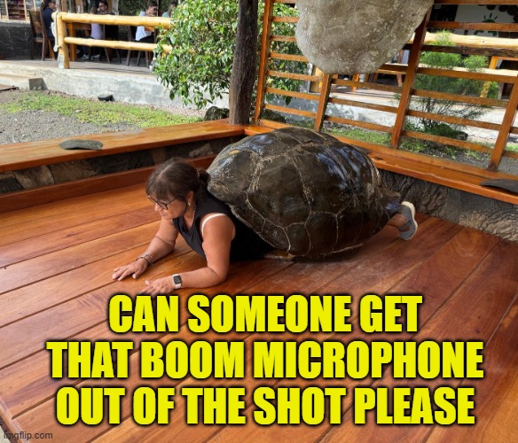 Tortuela | CAN SOMEONE GET THAT BOOM MICROPHONE OUT OF THE SHOT PLEASE | image tagged in tortuela,boom,shell,meme | made w/ Imgflip meme maker