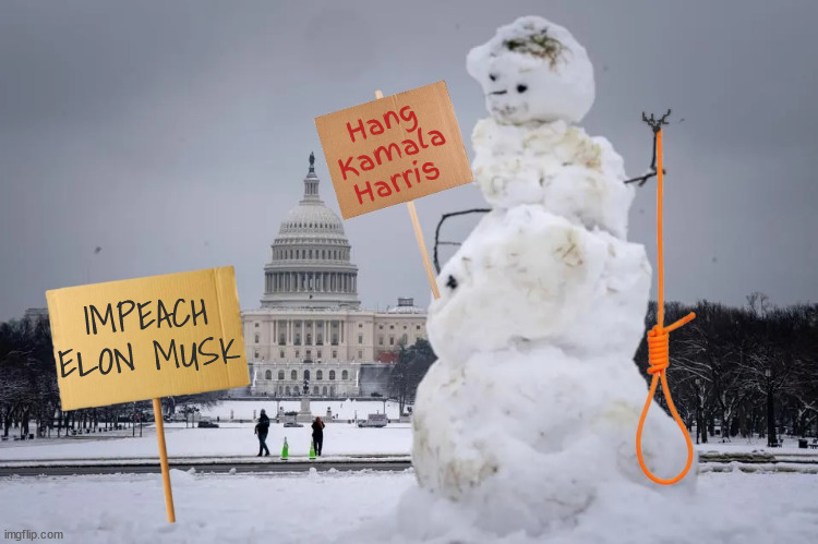 Jan 6th patriot snowman | Hang Kamala Harris; IMPEACH ELON MUSK | image tagged in january 6th 2025,jan 6th patriot snowman,capitol radical left riot,abominable no-man,impeach musk,hang mike pence | made w/ Imgflip meme maker