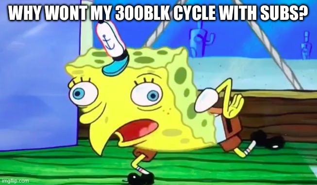Spongebob Durr | WHY WONT MY 300BLK CYCLE WITH SUBS? | image tagged in spongebob durr | made w/ Imgflip meme maker