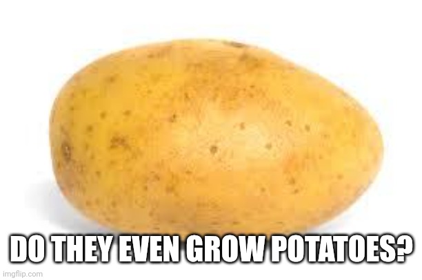 Potato | DO THEY EVEN GROW POTATOES? | image tagged in potato | made w/ Imgflip meme maker