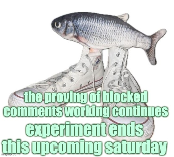 fihs | the proving of blocked comments working continues; experiment ends this upcoming saturday | image tagged in fihs | made w/ Imgflip meme maker