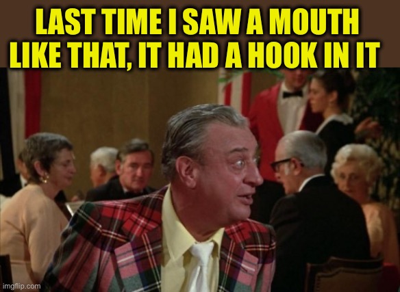 Did somebody step on a duck? | LAST TIME I SAW A MOUTH LIKE THAT, IT HAD A HOOK IN IT | image tagged in did somebody step on a duck | made w/ Imgflip meme maker