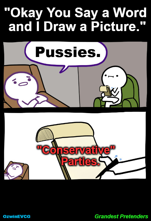 Grandest Pretenders | "Okay You Say a Word 

and I Draw a Picture."; Pussies. "Conservative" 

  Parties. Grandest Pretenders; OzwinEVCG | image tagged in unprofessional therapist,republicans,rino,conservatives,cuckservatives,world occupied | made w/ Imgflip meme maker