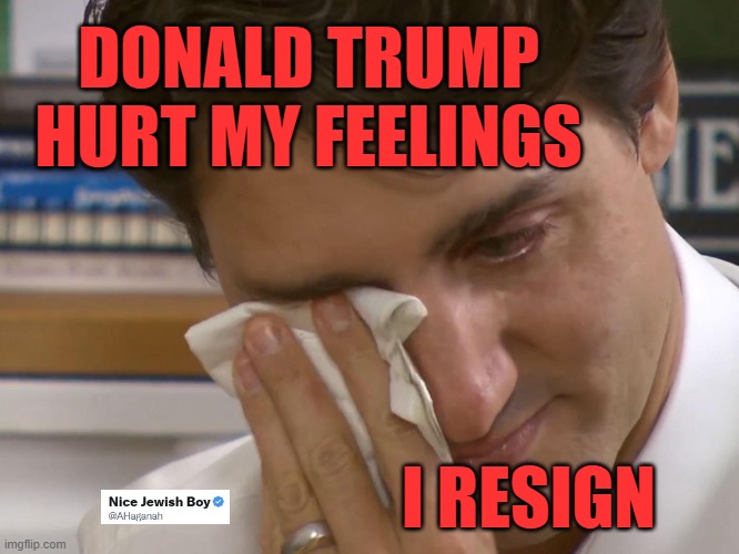 Couldn't handle the ribbing | DONALD TRUMP HURT MY FEELINGS; I RESIGN | image tagged in trump,trudeau,canada | made w/ Imgflip meme maker