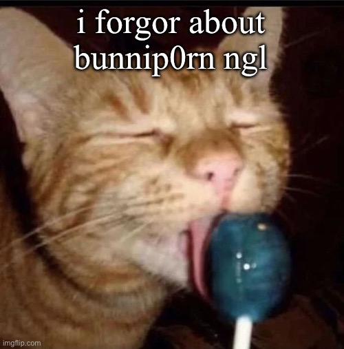 silly goober 2 | i forgor about bunnip0rn ngl | image tagged in silly goober 2 | made w/ Imgflip meme maker