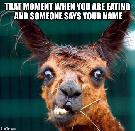 Distracted while eating | THAT MOMENT WHEN YOU ARE EATING AND SOMEONE SAYS YOUR NAME | image tagged in eating | made w/ Imgflip meme maker