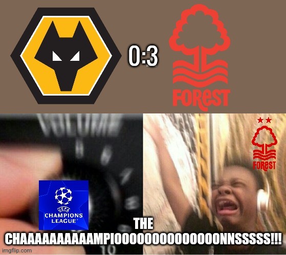 Nottm Forest BACK to the UCL after 1979/1980, here we go! | 0:3 | image tagged in nottm forest,premier league,footy,wolves,champions league,memes | made w/ Imgflip meme maker