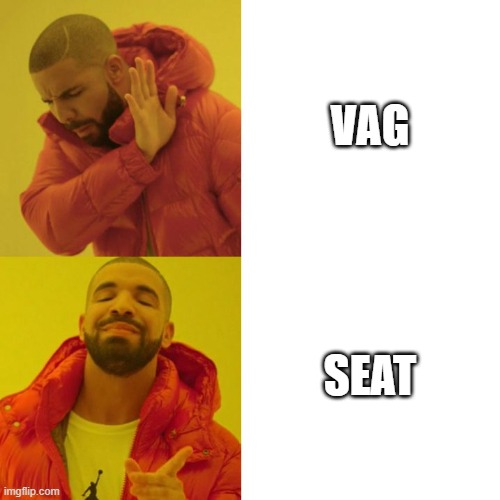 seat people be like | VAG; SEAT | image tagged in drake blank | made w/ Imgflip meme maker