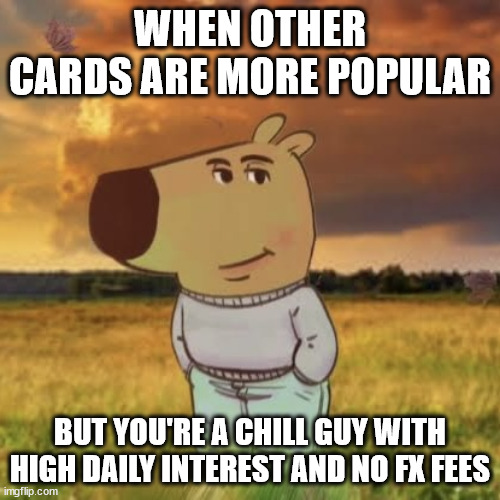 Chill guy | WHEN OTHER CARDS ARE MORE POPULAR; BUT YOU'RE A CHILL GUY WITH HIGH DAILY INTEREST AND NO FX FEES | image tagged in chill guy | made w/ Imgflip meme maker