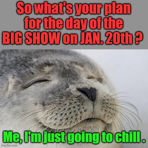 Be prepared for the Lib. insanity. | So what's your plan for the day of the BIG SHOW on JAN. 20th ? Me, I'm just going to chill . | image tagged in memes,satisfied seal | made w/ Imgflip meme maker