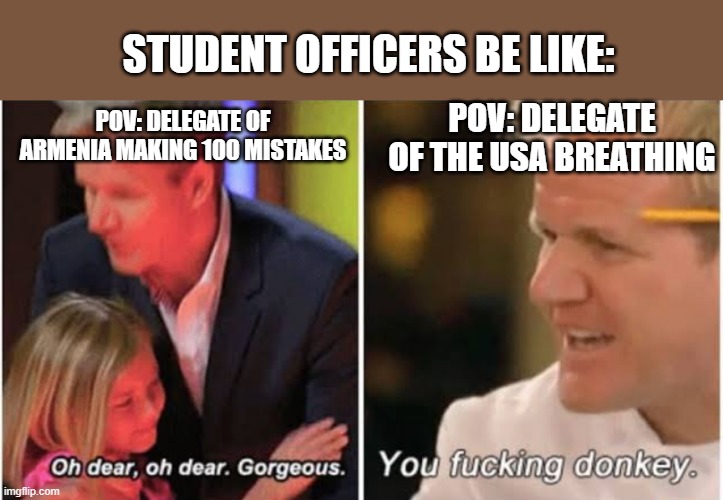 Student officer mode | STUDENT OFFICERS BE LIKE:; POV: DELEGATE OF THE USA BREATHING; POV: DELEGATE OF ARMENIA MAKING 100 MISTAKES | image tagged in gordon ramsay kids vs adults,mun | made w/ Imgflip meme maker