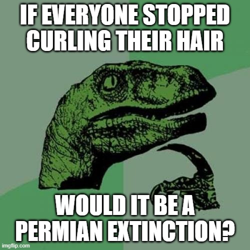 Philosoraptor Meme | IF EVERYONE STOPPED CURLING THEIR HAIR; WOULD IT BE A PERMIAN EXTINCTION? | image tagged in memes,philosoraptor | made w/ Imgflip meme maker