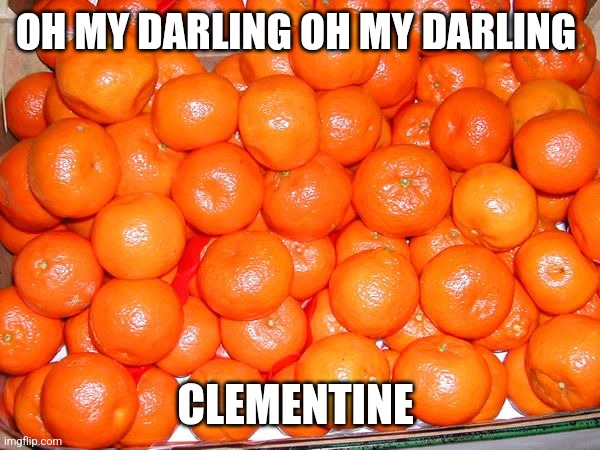 Clementine | OH MY DARLING OH MY DARLING; CLEMENTINE | image tagged in clementines,funny memes | made w/ Imgflip meme maker