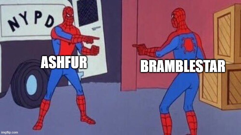 literally TBC | ASHFUR; BRAMBLESTAR | image tagged in spiderman pointing at spiderman | made w/ Imgflip meme maker