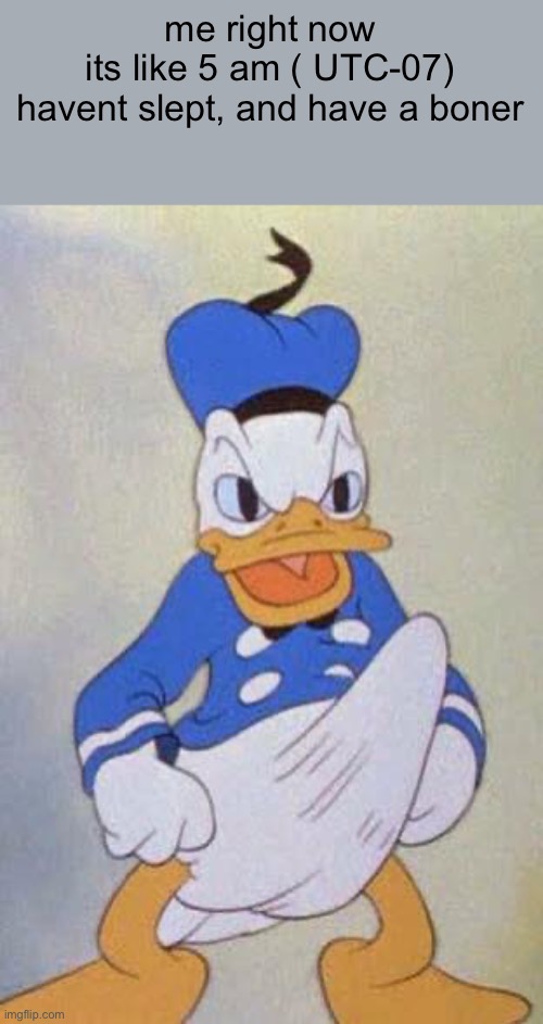 boner | me right now
its like 5 am ( UTC-07)
havent slept, and have a boner | image tagged in horny donald duck | made w/ Imgflip meme maker