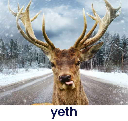 yeth | made w/ Imgflip meme maker