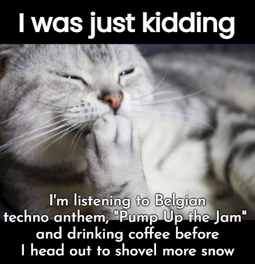 I was just kidding I'm listening to Belgian techno anthem, "Pump Up the Jam" 
and drinking coffee before I head out to shovel more snow | made w/ Imgflip meme maker