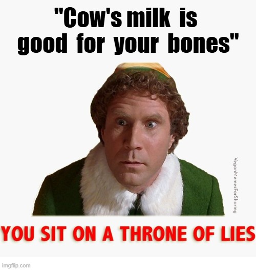 We Are Not Baby Cows | image tagged in elf,vegan,veganism,vegetarian,cheese,milk | made w/ Imgflip meme maker