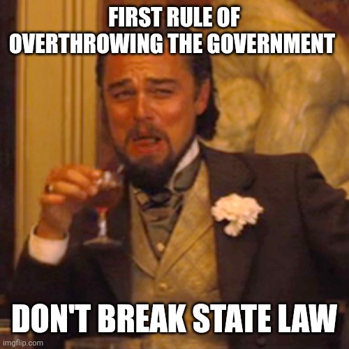 FIRST RULE OF OVERTHROWING THE GOVERNMENT DON'T BREAK STATE LAW | image tagged in memes,laughing leo | made w/ Imgflip meme maker