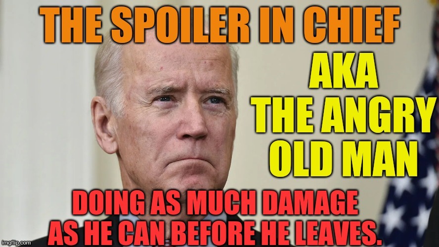 Joe Biden | image tagged in memes,politics,joe biden,spoiler,chief,angry old man | made w/ Imgflip meme maker