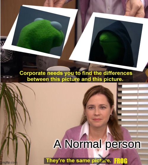 kermit the frog | A Normal person; ___________; ___________; FROG | image tagged in memes,they're the same picture | made w/ Imgflip meme maker