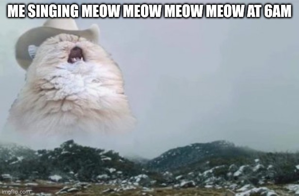 Idk why I'm like this | ME SINGING MEOW MEOW MEOW MEOW AT 6AM | image tagged in mariachi cat,meow | made w/ Imgflip meme maker